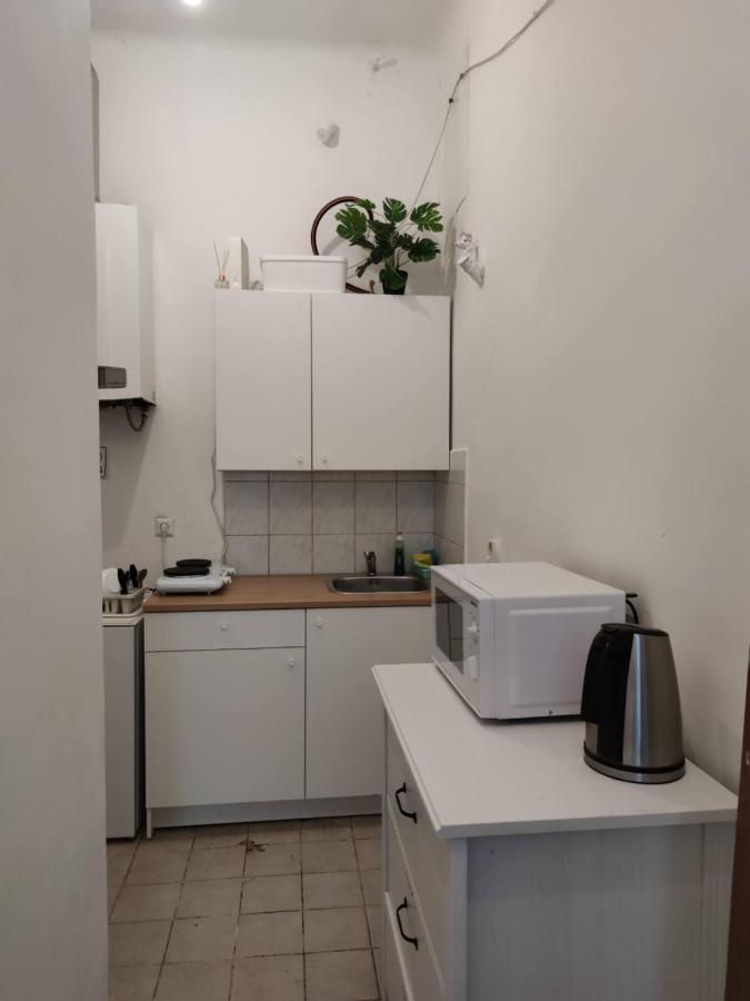 Room With Privat Shower In 3 Rooms Apartment Viena Exterior foto